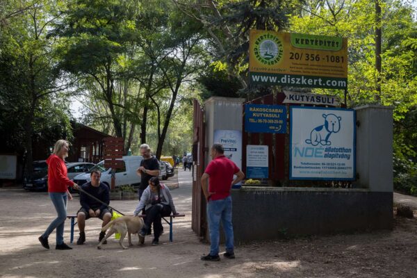 noé állatotthon állatmenhely