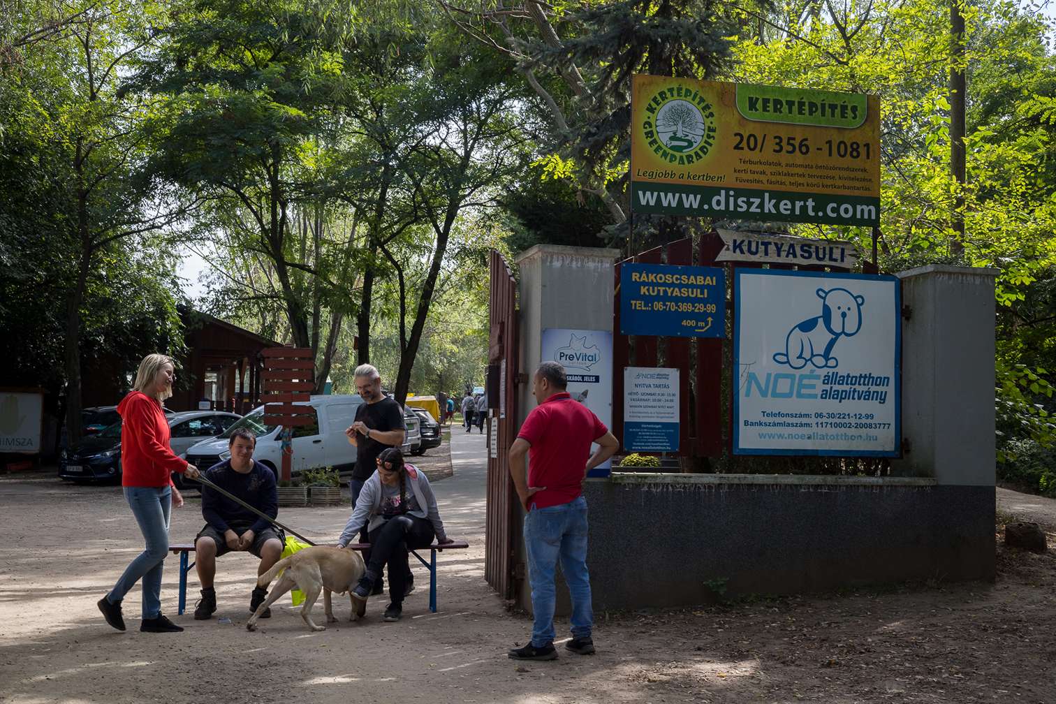 noé állatotthon állatmenhely