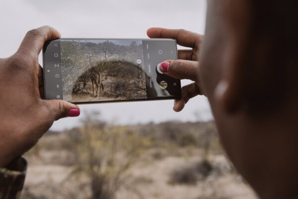 Samsung Galaxy S23 Ultra Wildlife Watch őrjárat