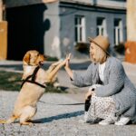 kutya napi rutin kialakítása