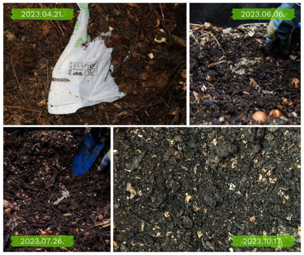 Fél év alatt tűntek el a lebomló komposztált zacskók a Humusz és a Greenpeace kísérletében