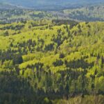 epson fenntarthatóság