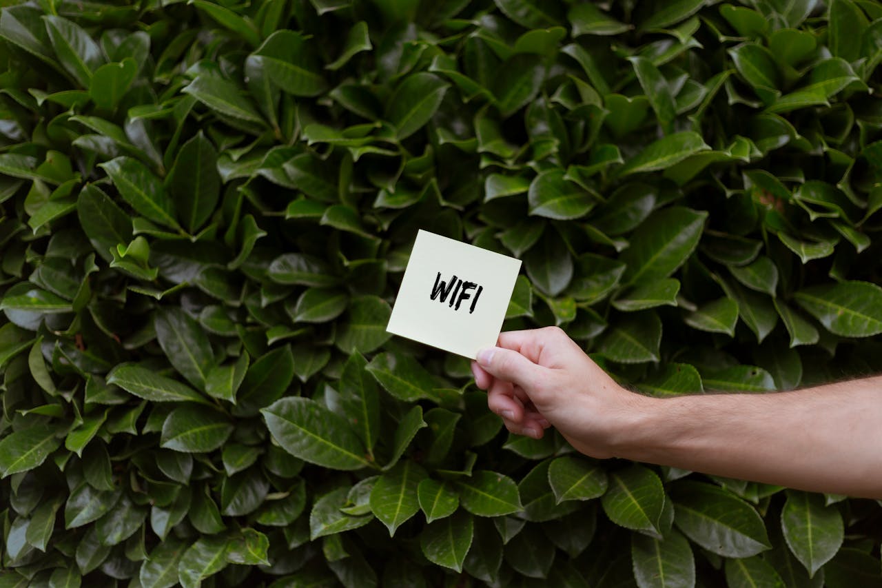 zyxel wifi 7 internet