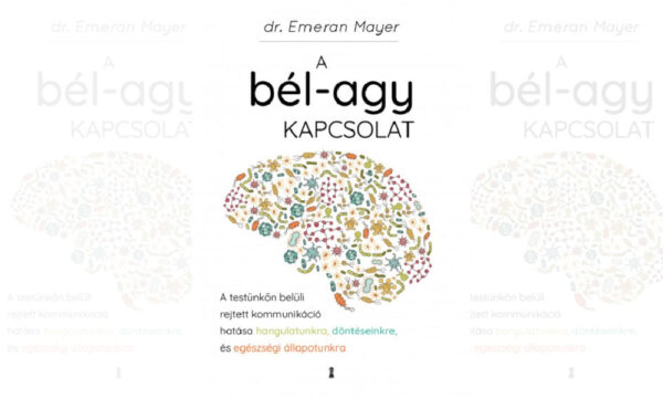 bél agy kapcsolat könyv
