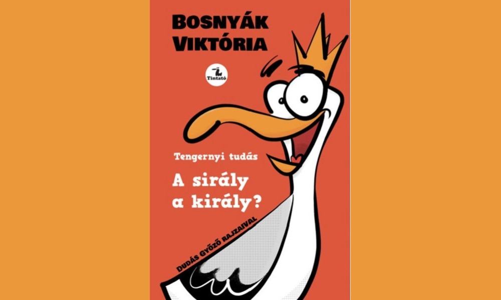 sirály a király könyv