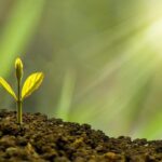 agrár-ökológiai program