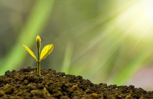 agrár-ökológiai program