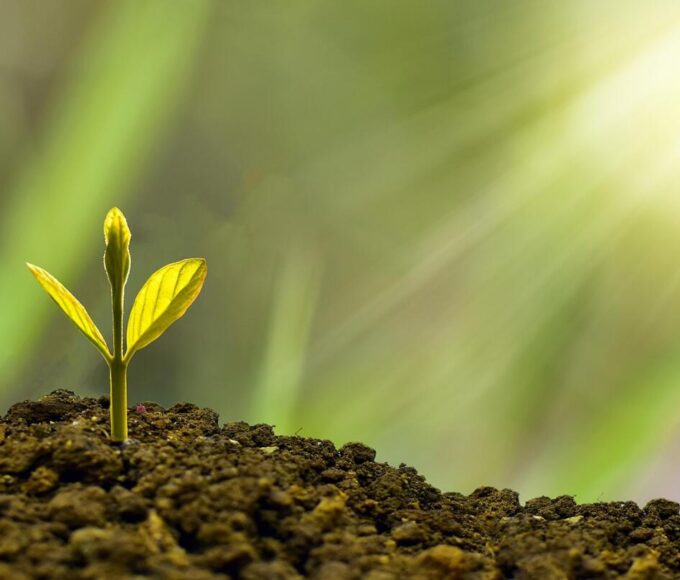 agrár-ökológiai program